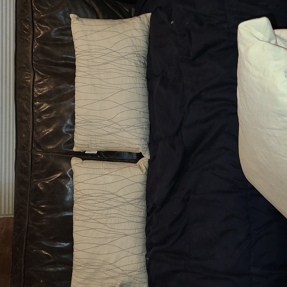 Calvin Klein pillows